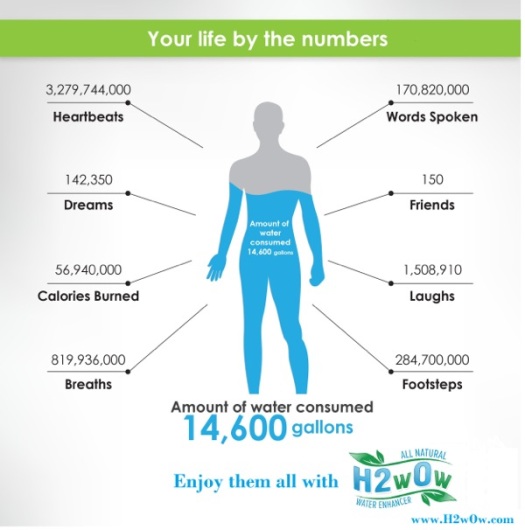 Your Life Infographic copy